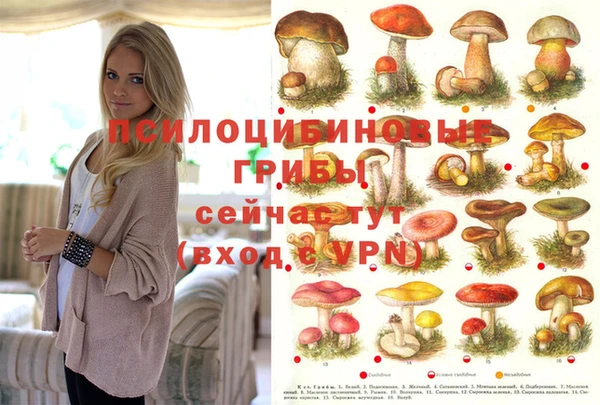наркотики Гусь-Хрустальный