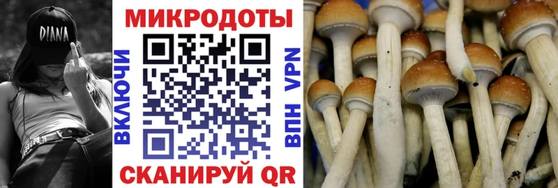 MEGA зеркало  купить наркоту  Ясногорск  Псилоцибиновые грибы Psilocybine cubensis 